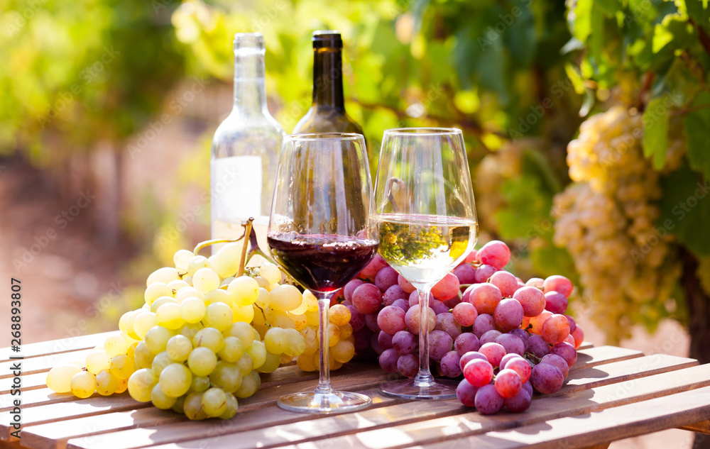 Salão do Vinho de Lagoa🍷