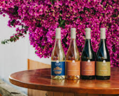 Alvor Wine Tasting 