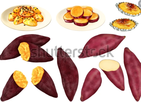 Festival da Batata-doce de Aljezur 