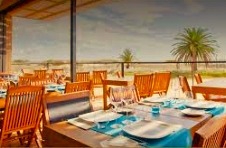 Chá Com Água Salgada,  LINK