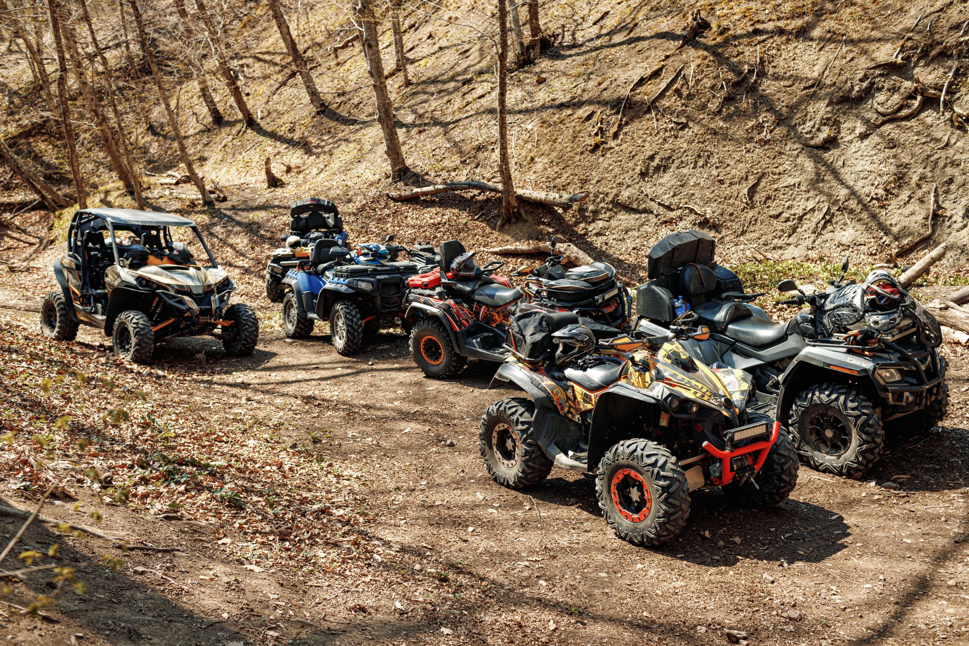 Passeios de Buggy no Algarve