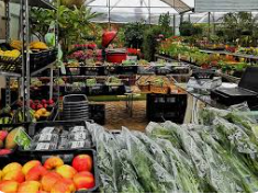 Mercadinho bio Natura, Almancil